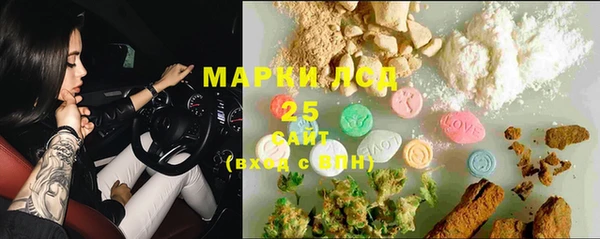 стаф Баксан
